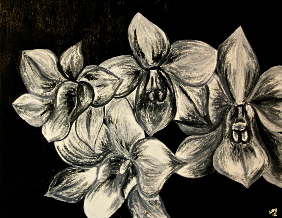 Dendrobium (DEN-dro-bee-um) are an excellent choice for the novice grower, nickname thunderstorm. The presences of flowers in a home or office make the space more welcoming and create a sharing atmosphere. Such as happiness, enjoyment, and helps on
