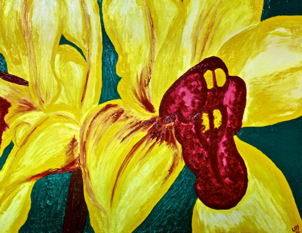 CYMBIDIUM (sym-BID-ee-um) are among the most popular winter and spring blooming orchids, nickname the boat. The presences of flowers in a home or office make the space more welcoming and create a sharing atmosphere. Such as happiness, enjoyme