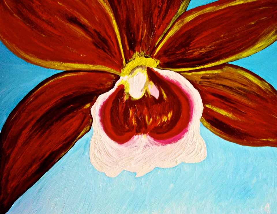 Phaius is Greek and means dark and sometimes is spelled Phajus, it's nickname is The Red Crane. The presences of flowers in a home or office make the space more welcoming and create a sharing atmosphere. Such as happiness, enjoyment, and helps one