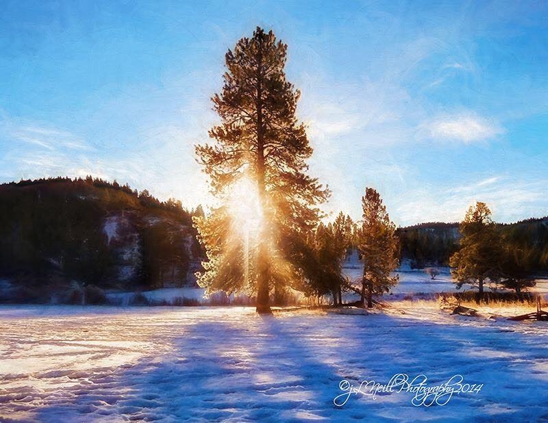 Winter light at Wine Down Ranch