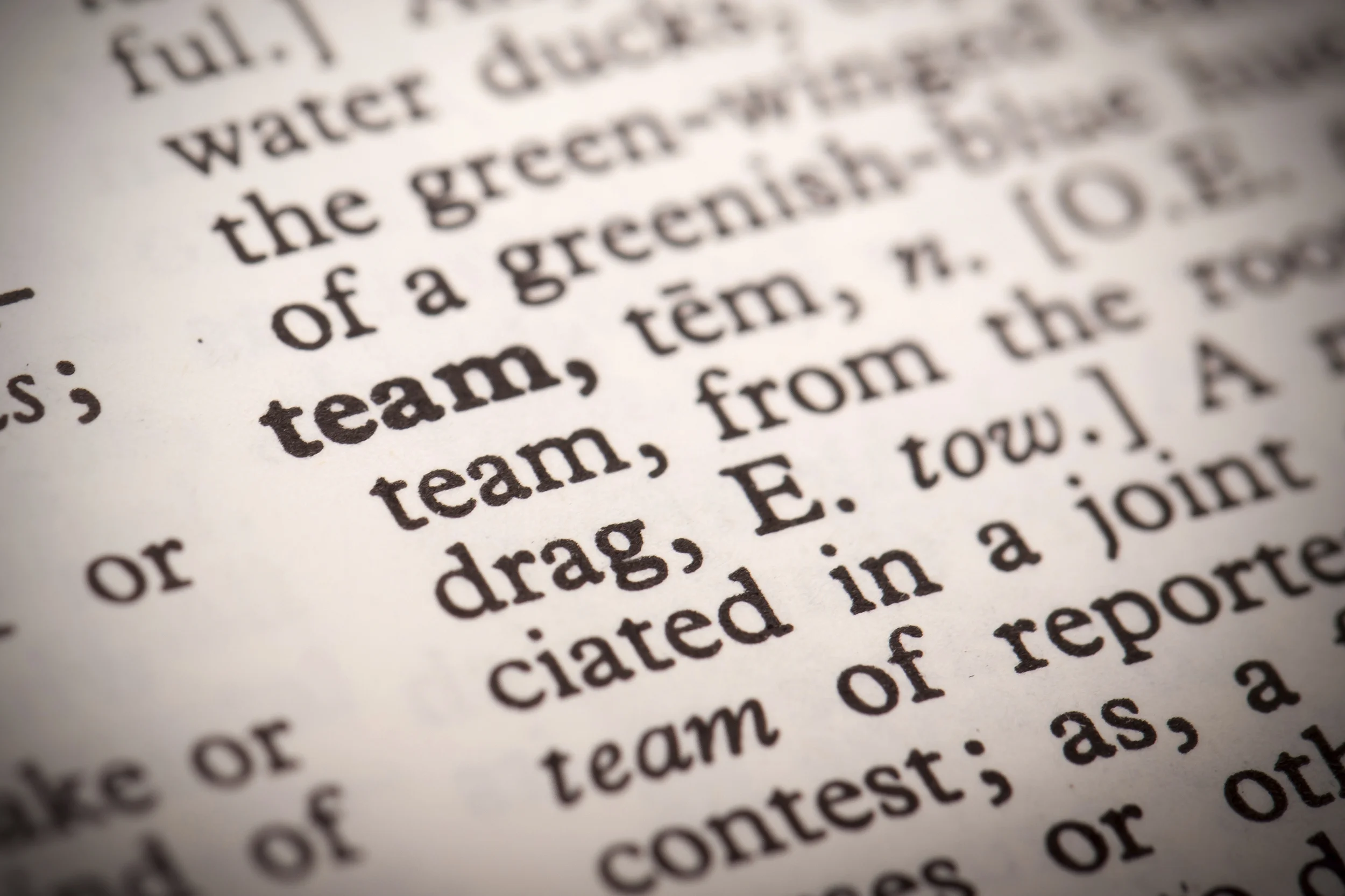 team.jpg