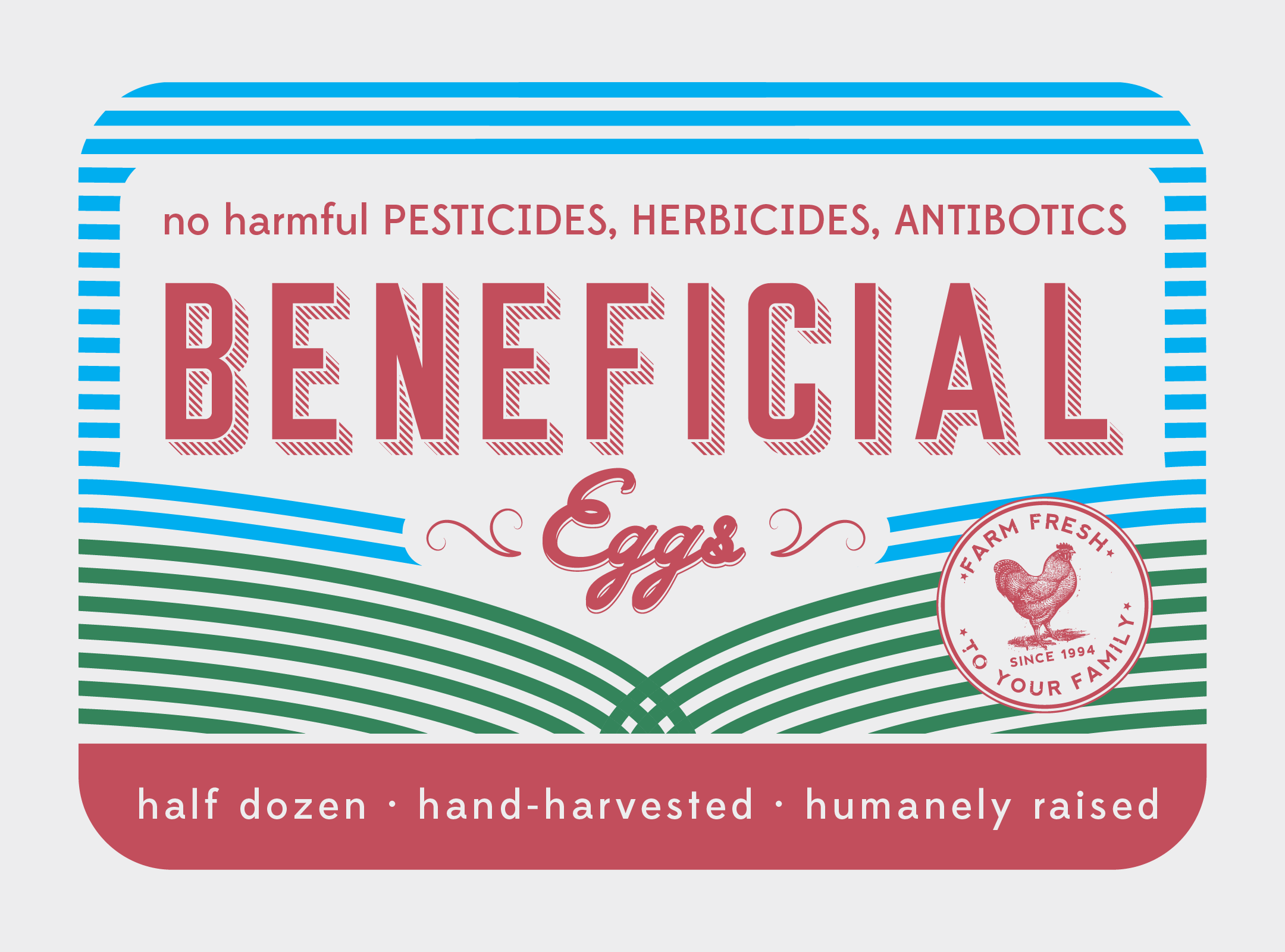 BF_MOCK-UP-HR-A.png