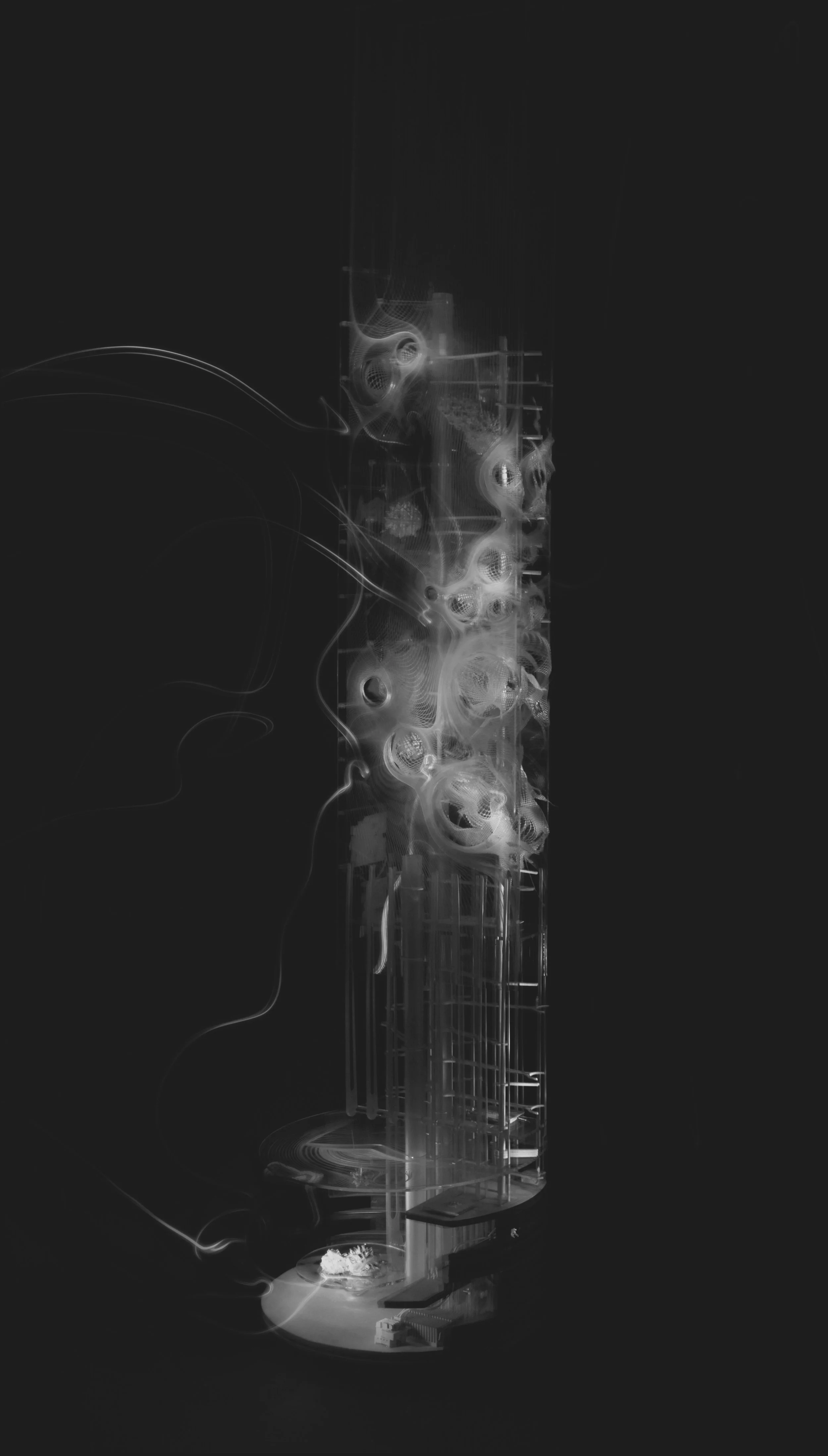 contrails01.jpg