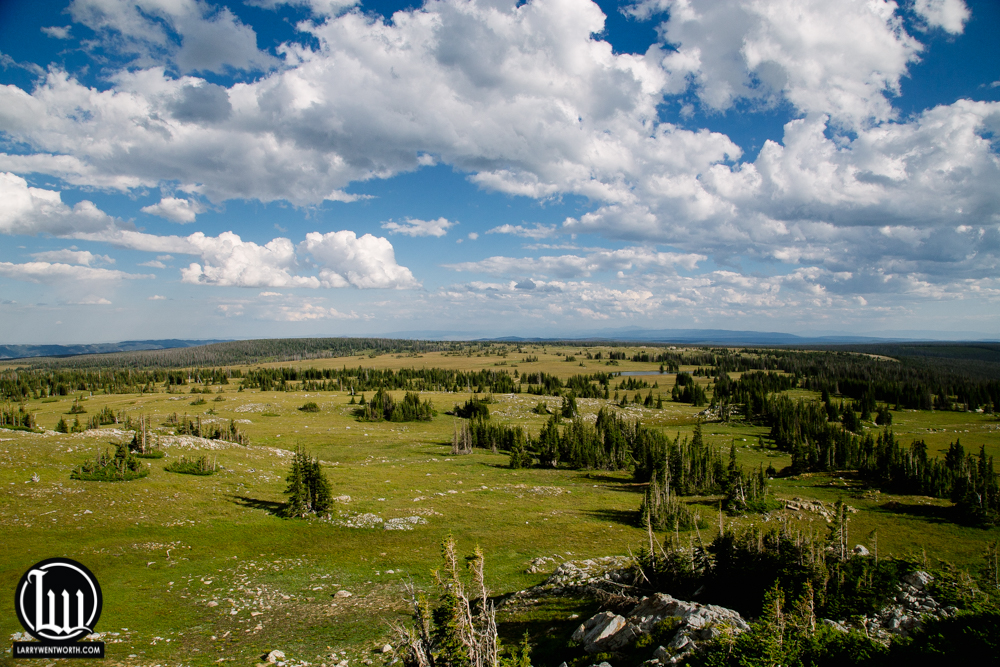 Cheyenne, WY