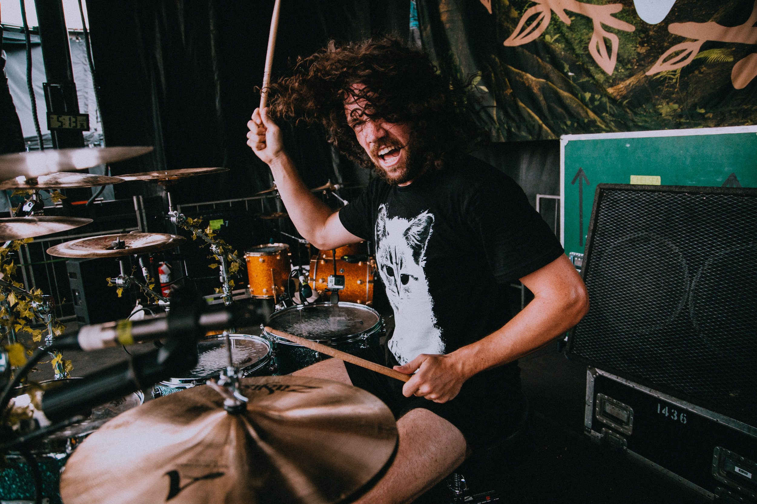 In Hearts Wake