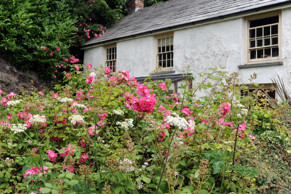 Pilates in the sun Cornwall