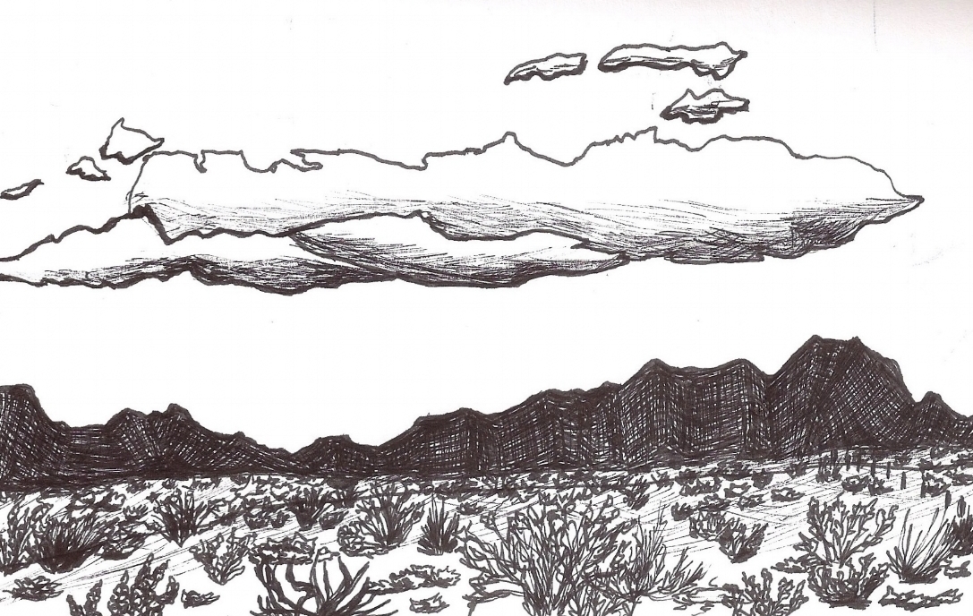 Lightning field.jpeg