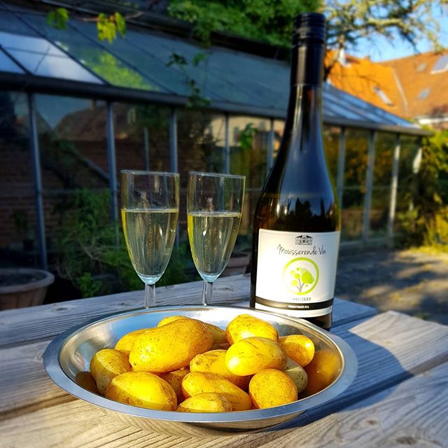 Jysk forret. One of the best part of starting Temper Chokolade has been getting to know all the local producers here in Jylland. New potatoes just hours from the ground from #&oslash;kotopen in St. Darum and the perfect summer drink, Gooseberry spark