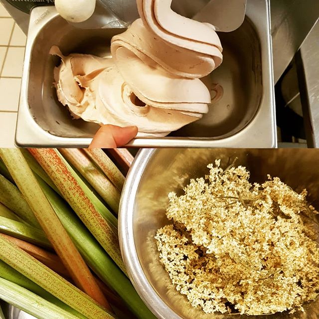 Testing a new gelato flavour for next week. Lots of Elderflower around Denmark right now so we dried some and paired it with some fresh rhubarb from our gardens. Thanks for the idea @mariadolsoe. 😀👍It's delicious. #temperchokolade #ribeis #italiens