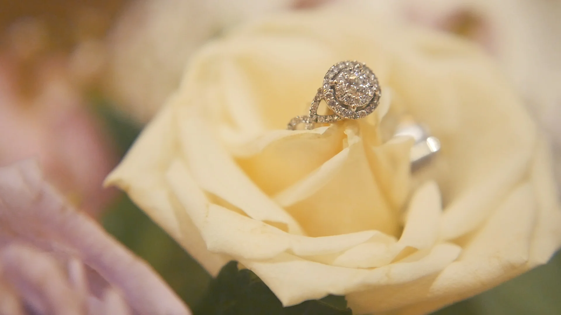 Ring3.jpg
