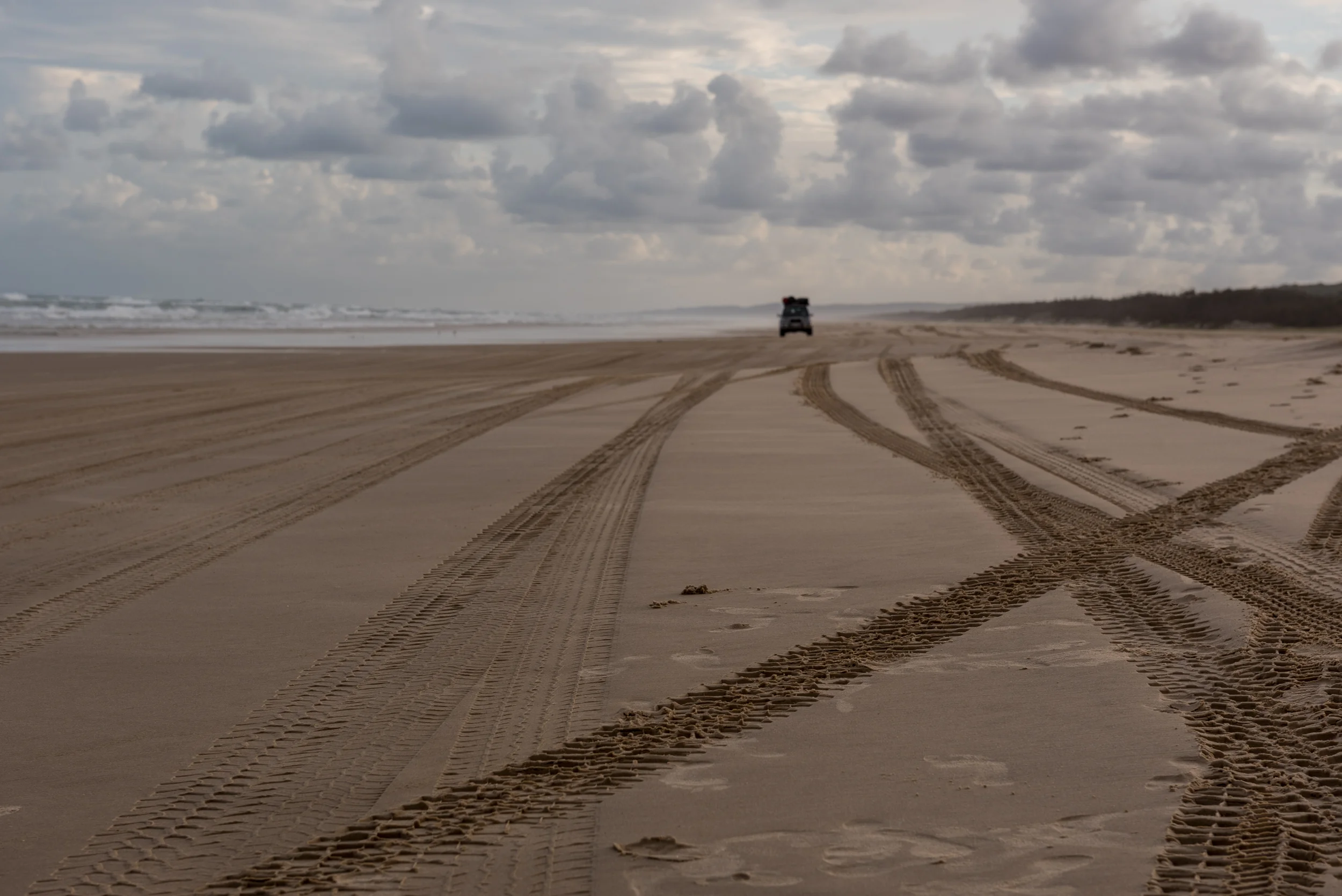 DSC_3832.jpg