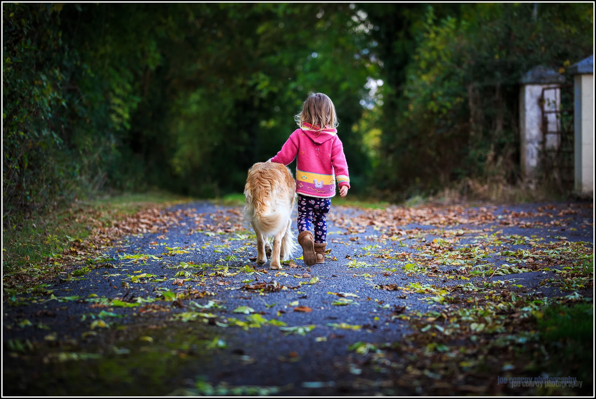 Week 41 - Friends...
