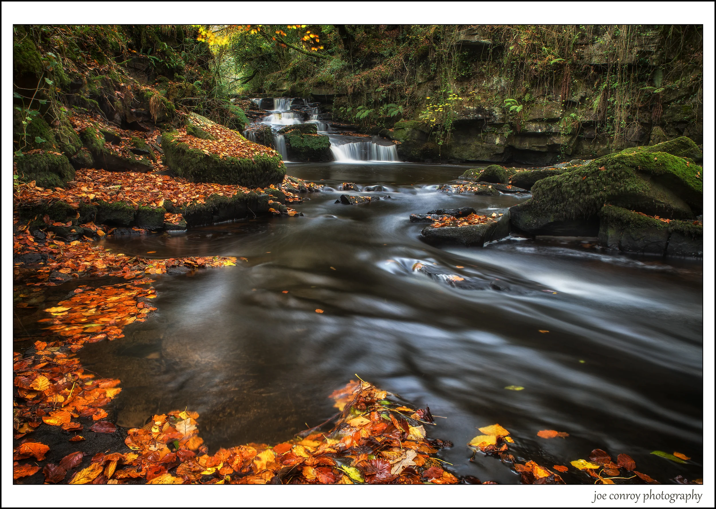 Week 45 - Autumn..