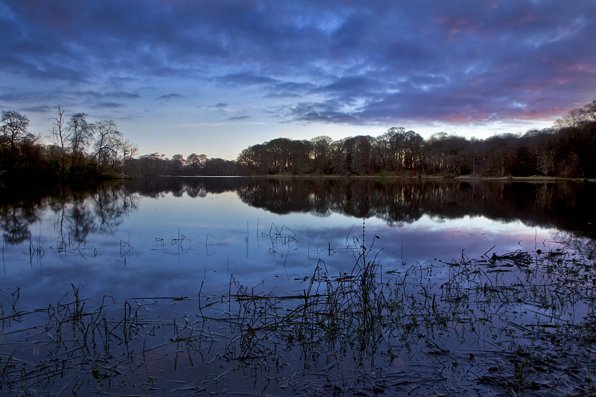 Ballyfin Lake