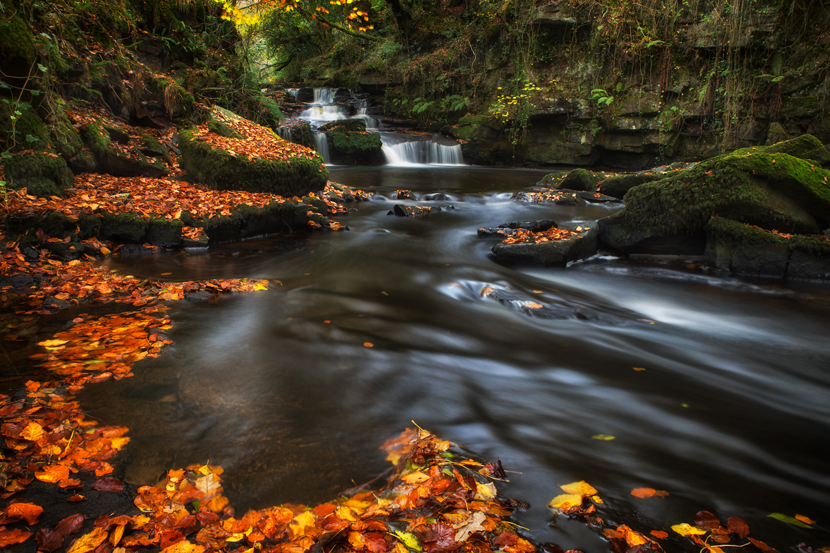 Autumn at the Cathole Falls