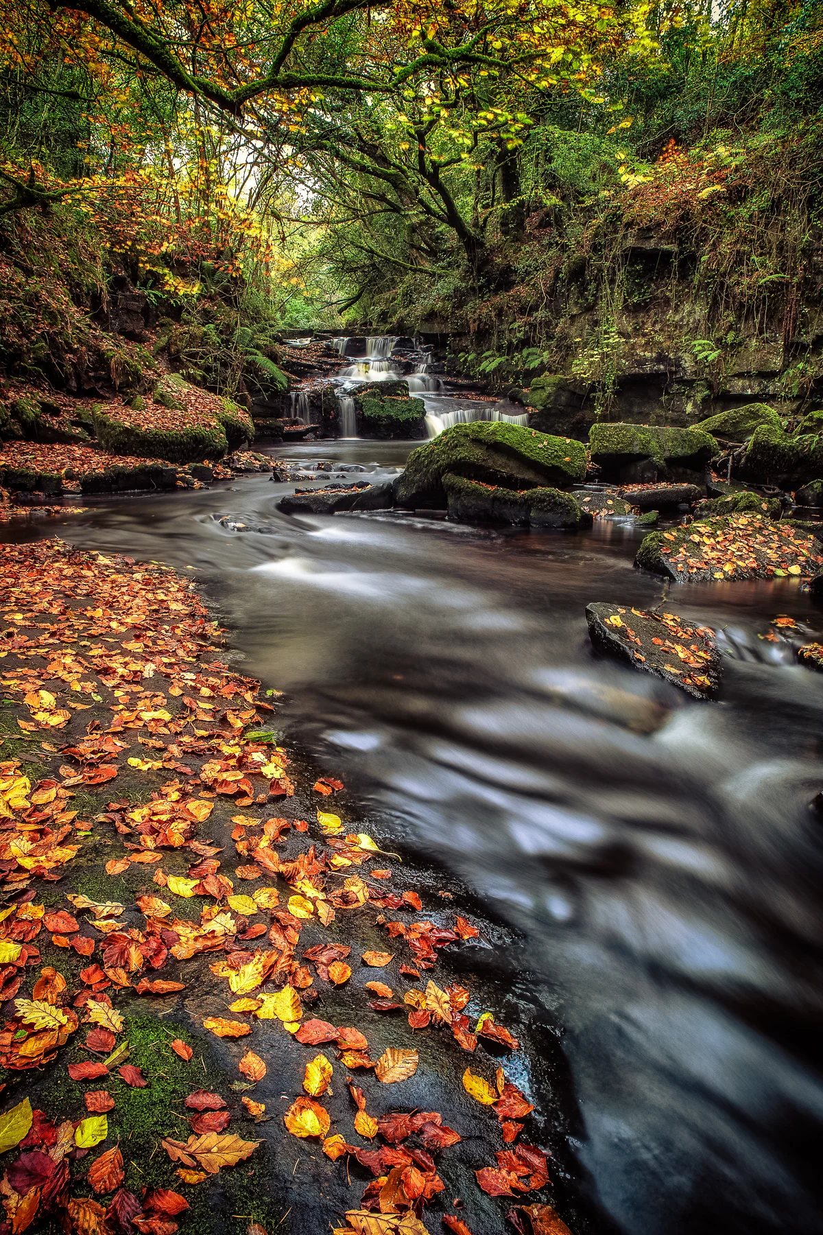 Catholes river