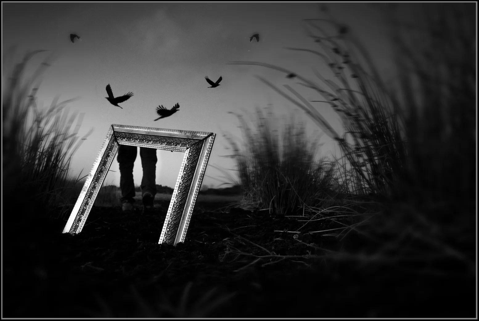 Week 28 - Lost..