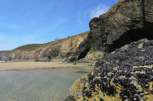 Chapel porth.jpeg
