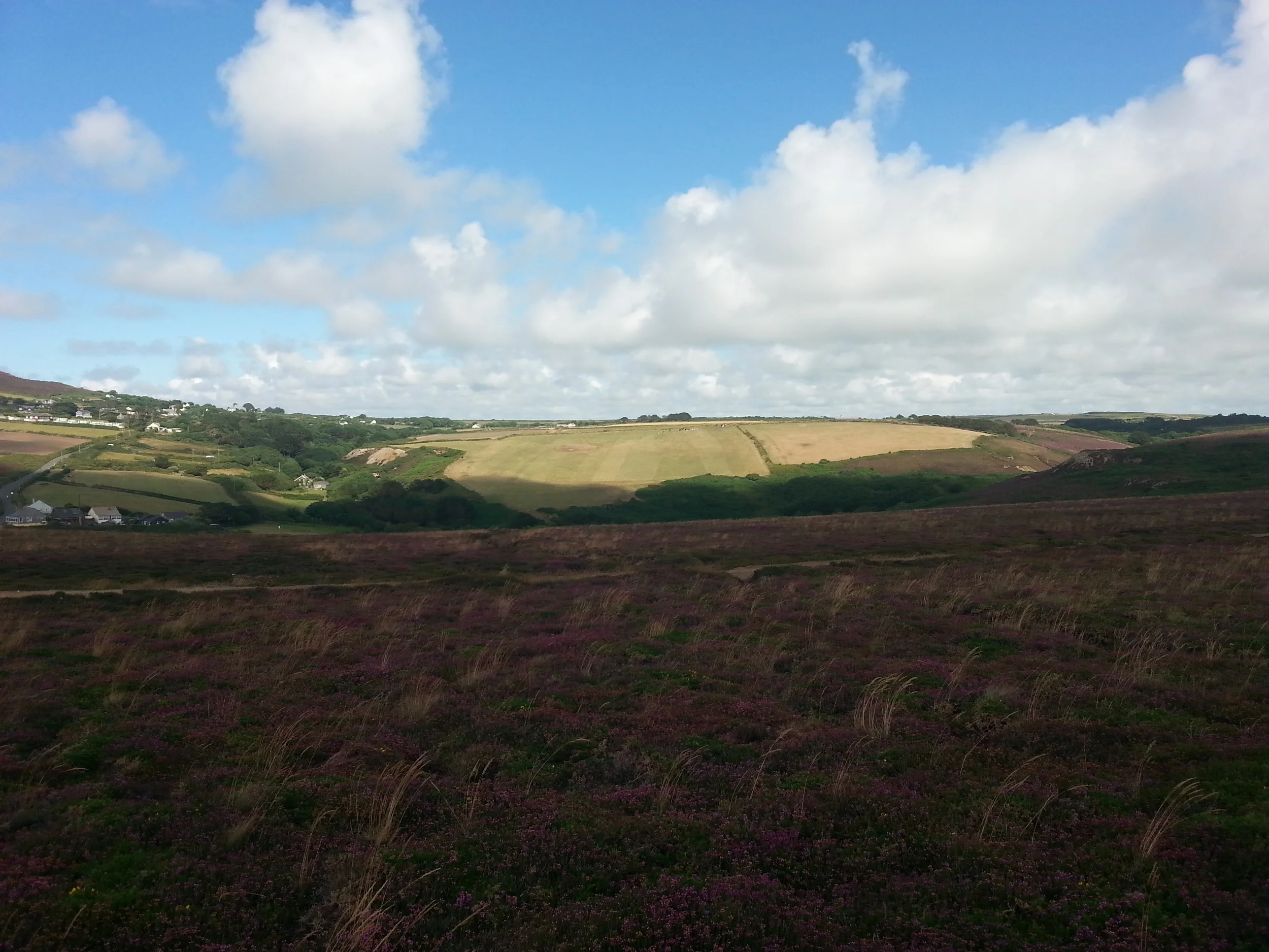 20140728_145727.jpg