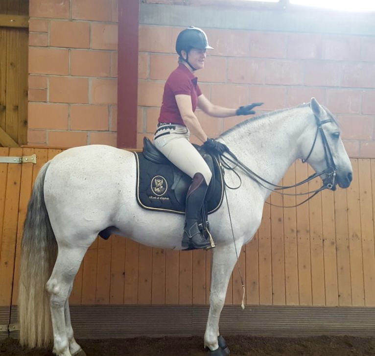 The gorgeous PRE stallion "Hercules"