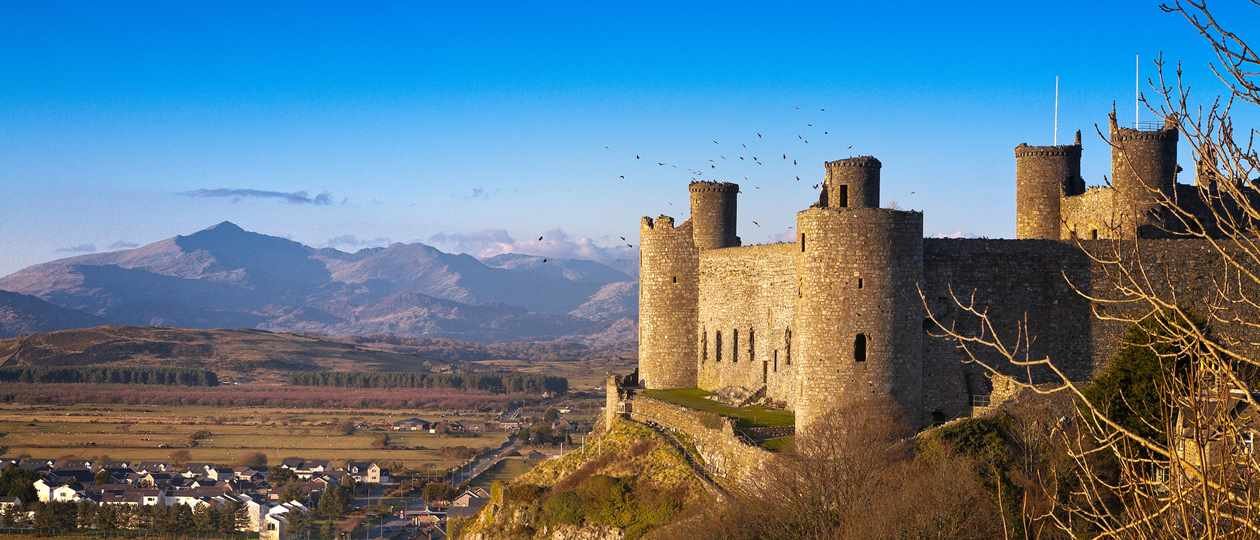 Harlech Castle 2.jpeg