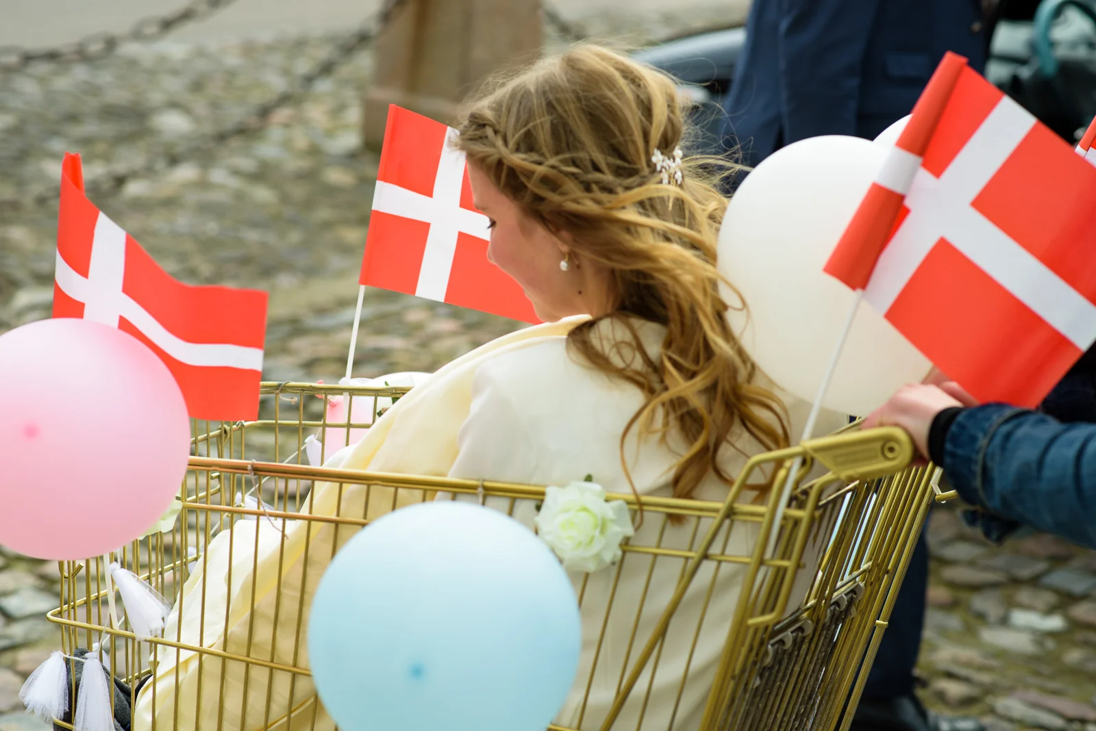 LisaIndkøbsvogn.jpg