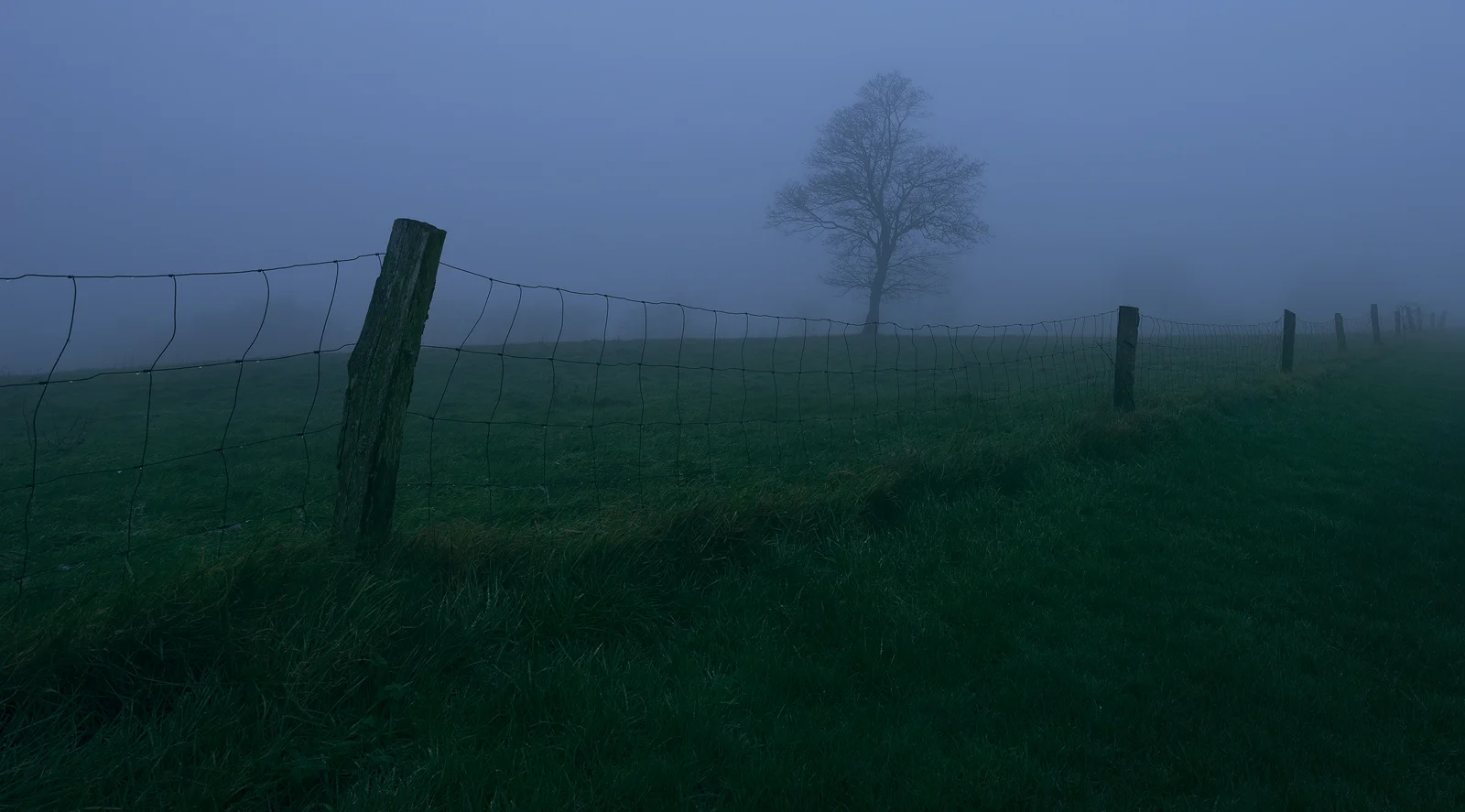 Green Field 2016