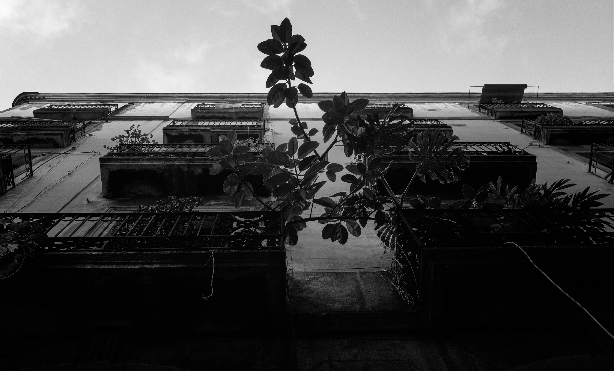 Seeking Light Barcelona 2018