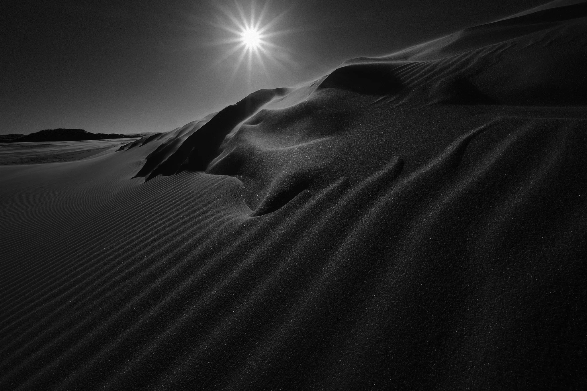 Desert Dreams February 2019