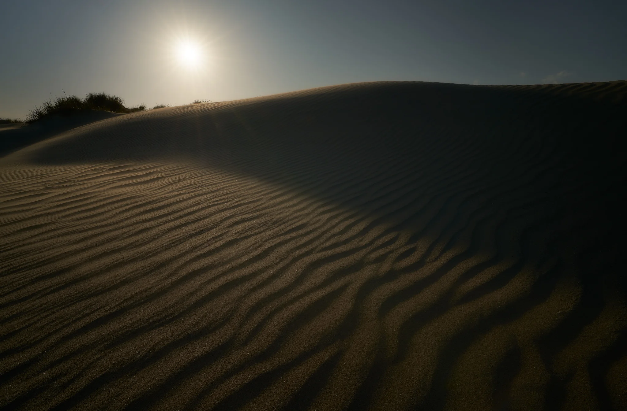Dunes June 2019