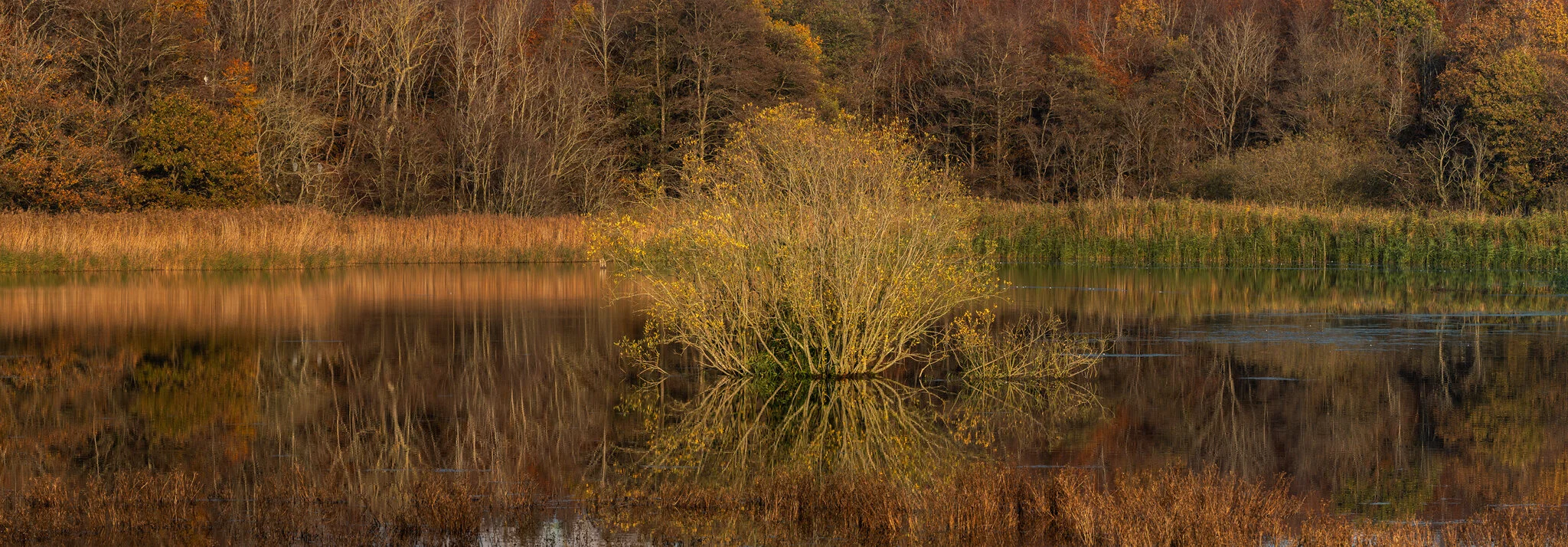 Fall