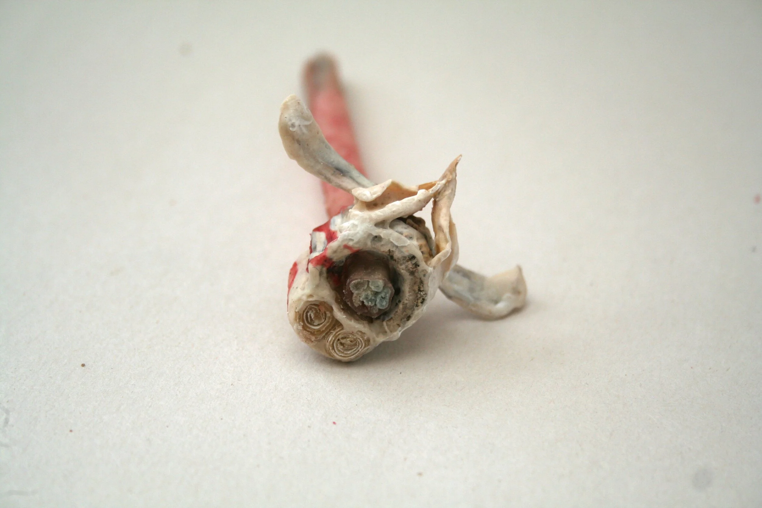 2021-03-03 001 017.JPG