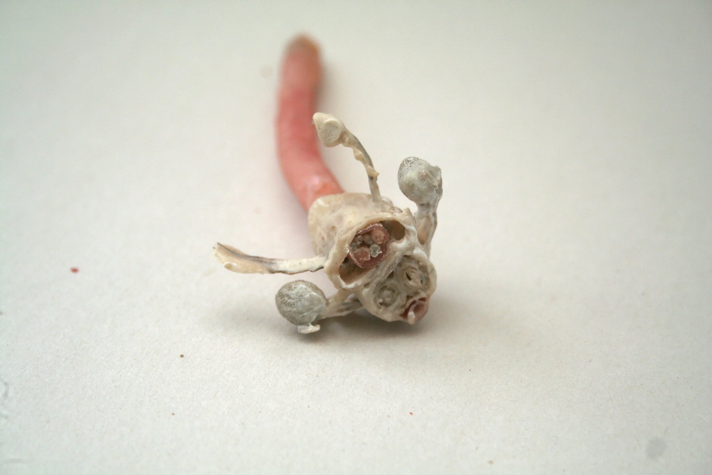 2021-03-03 001 018.JPG