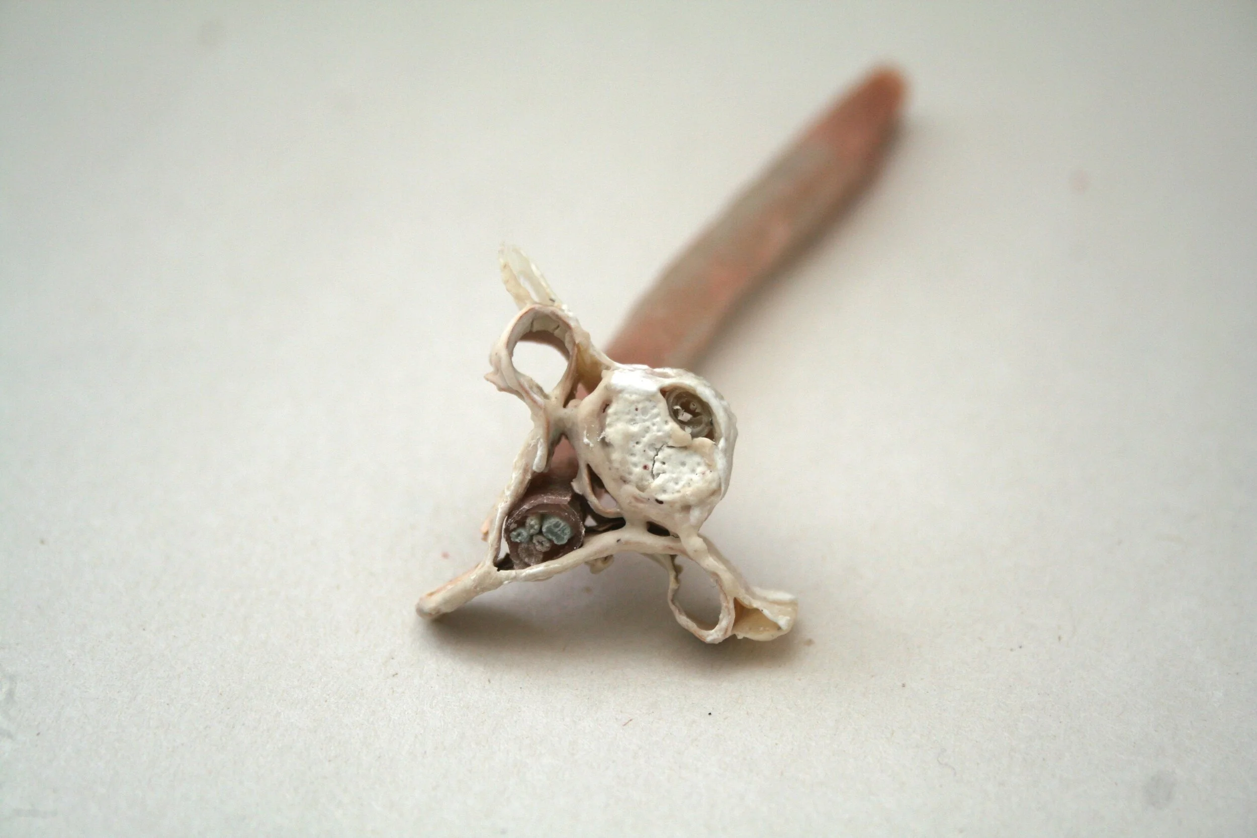 2021-03-03 001 027.JPG