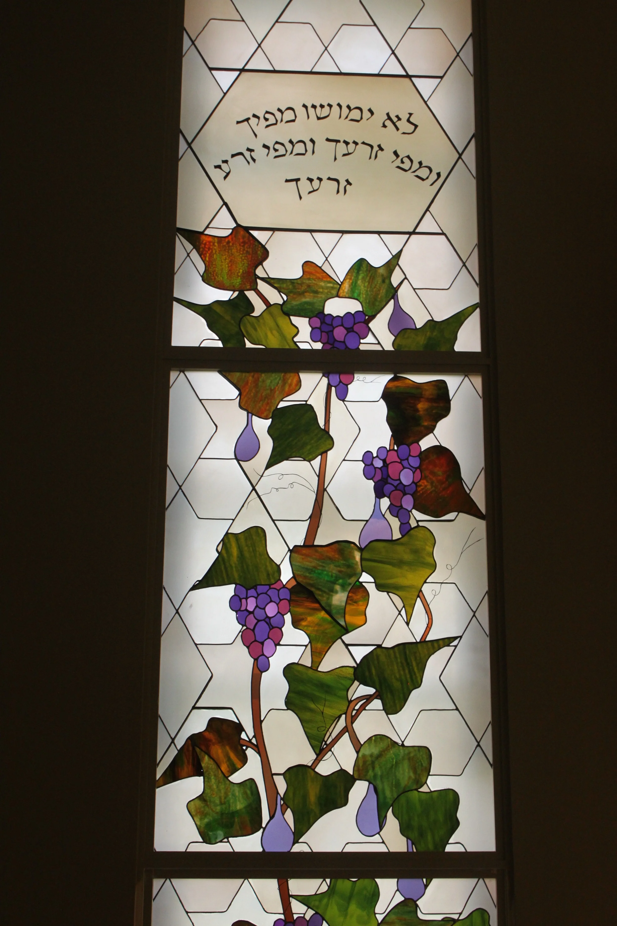 The top two panels of the grapevine composition.
