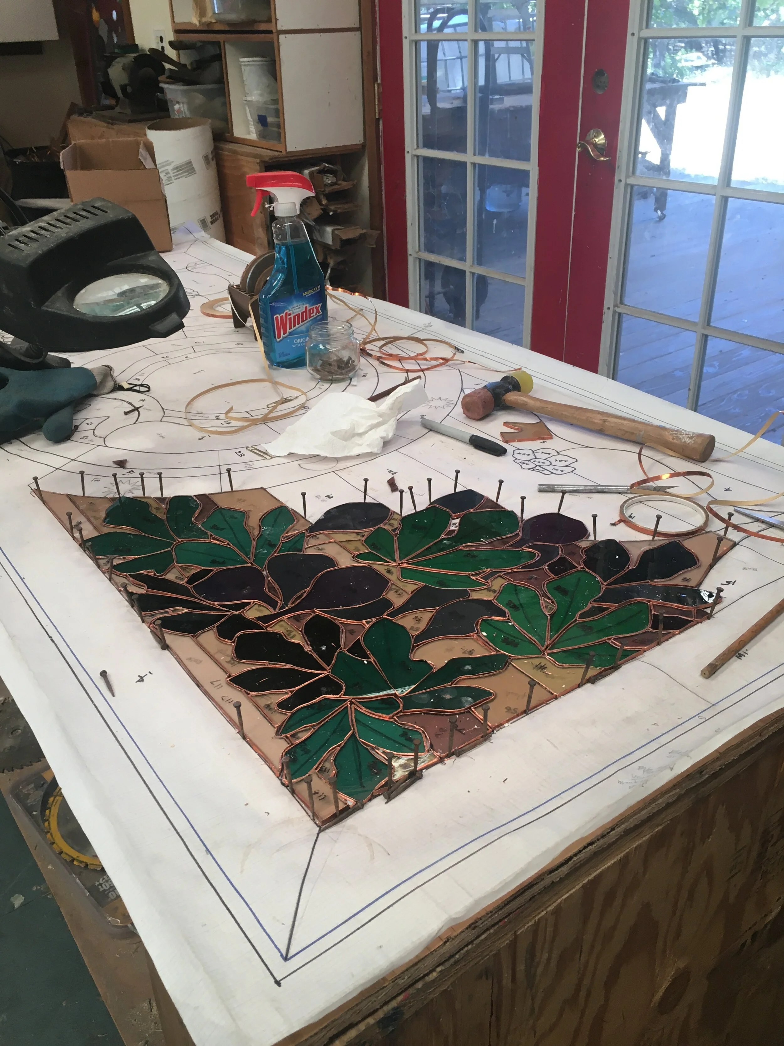  June 18, 2021  Section of fig leaves soldered together 