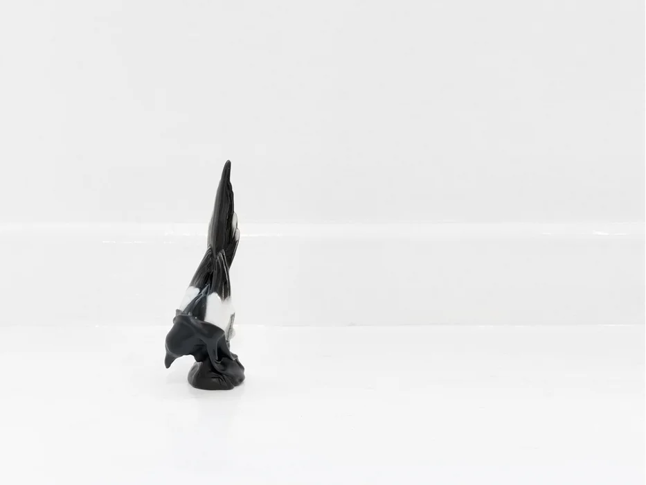 the magpie