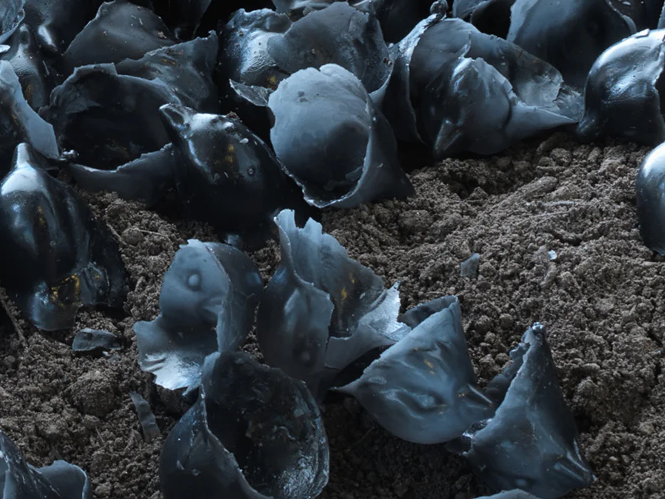 the failed escape (detail)