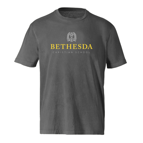 Bethesda University Basketball  Cal logo, School logos, ? logo