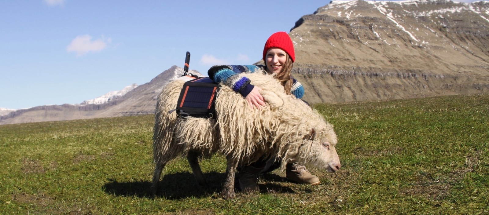 14Google Sheep View.jpg