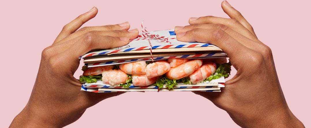 Copy of Mailshrimp?