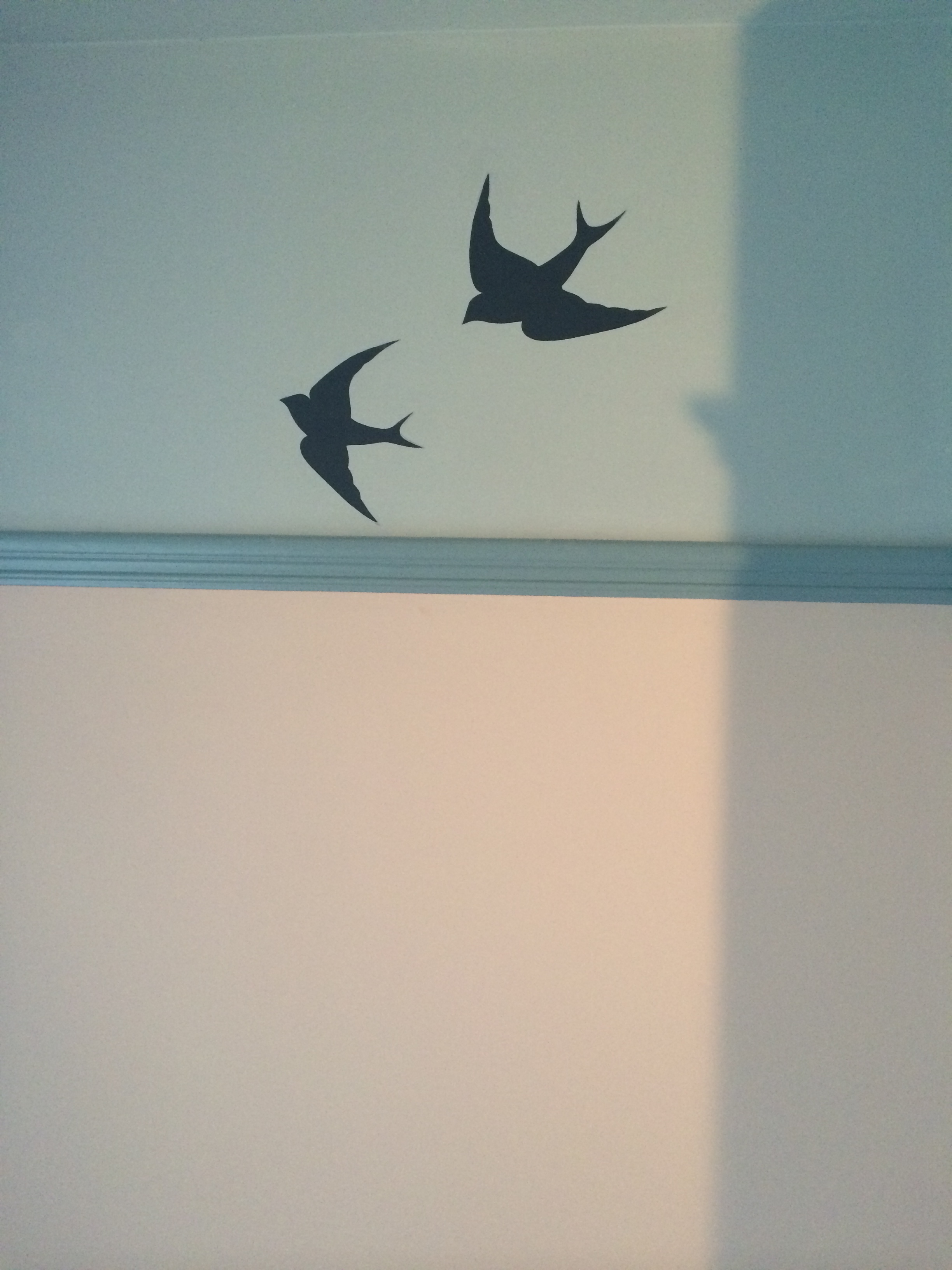 Birds Flying high