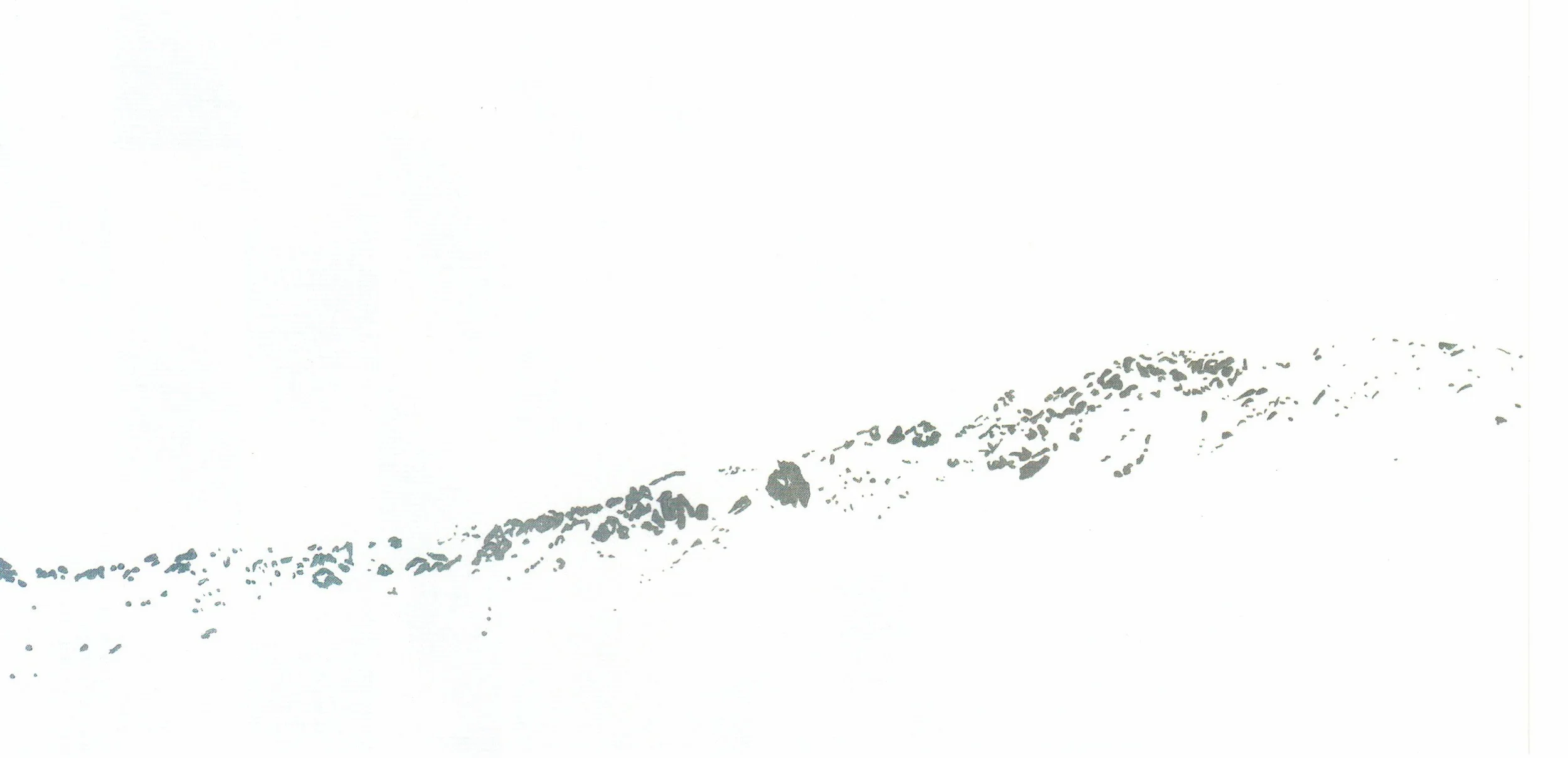 Painting by Fabienne Clauss (copyright Fabienne Clauss): Untitled (IC10) 2014, acrylic on linen, 60 x 120 cm .
