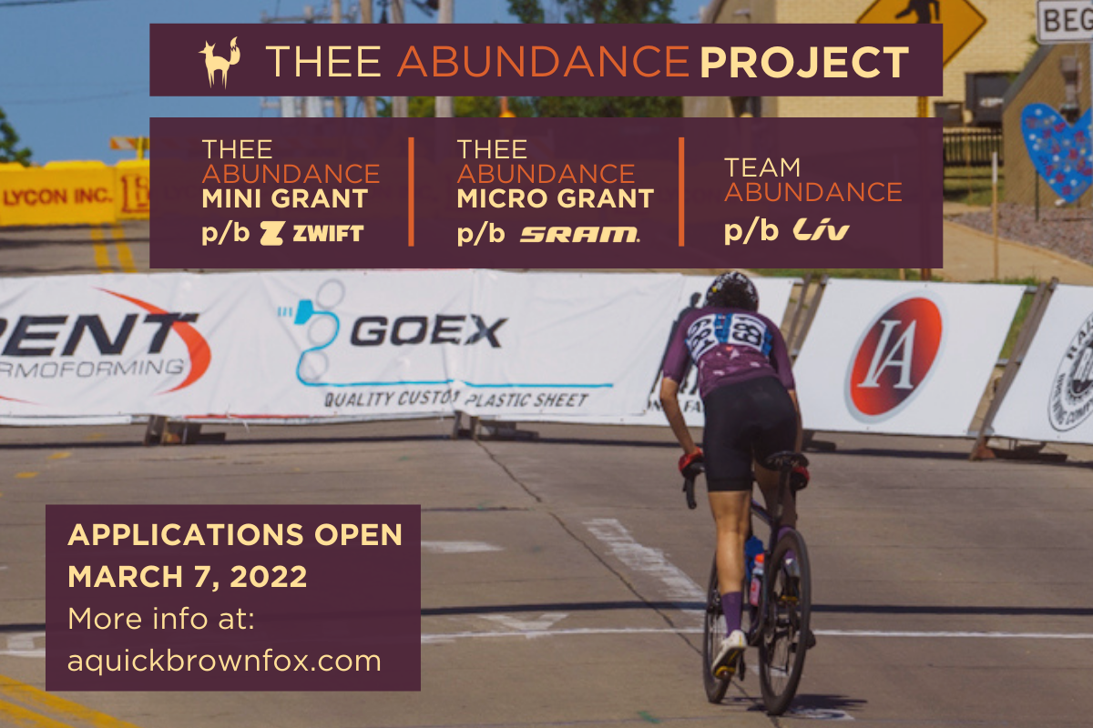 Thee Abundance Project: Training Series, Mini Grant &amp; Micro Grant!