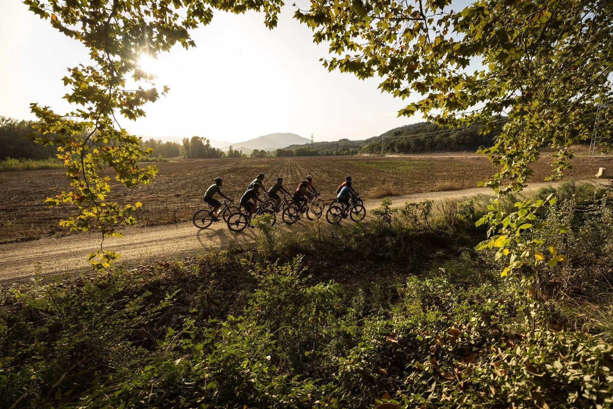 The Black Foxes Den Retreat