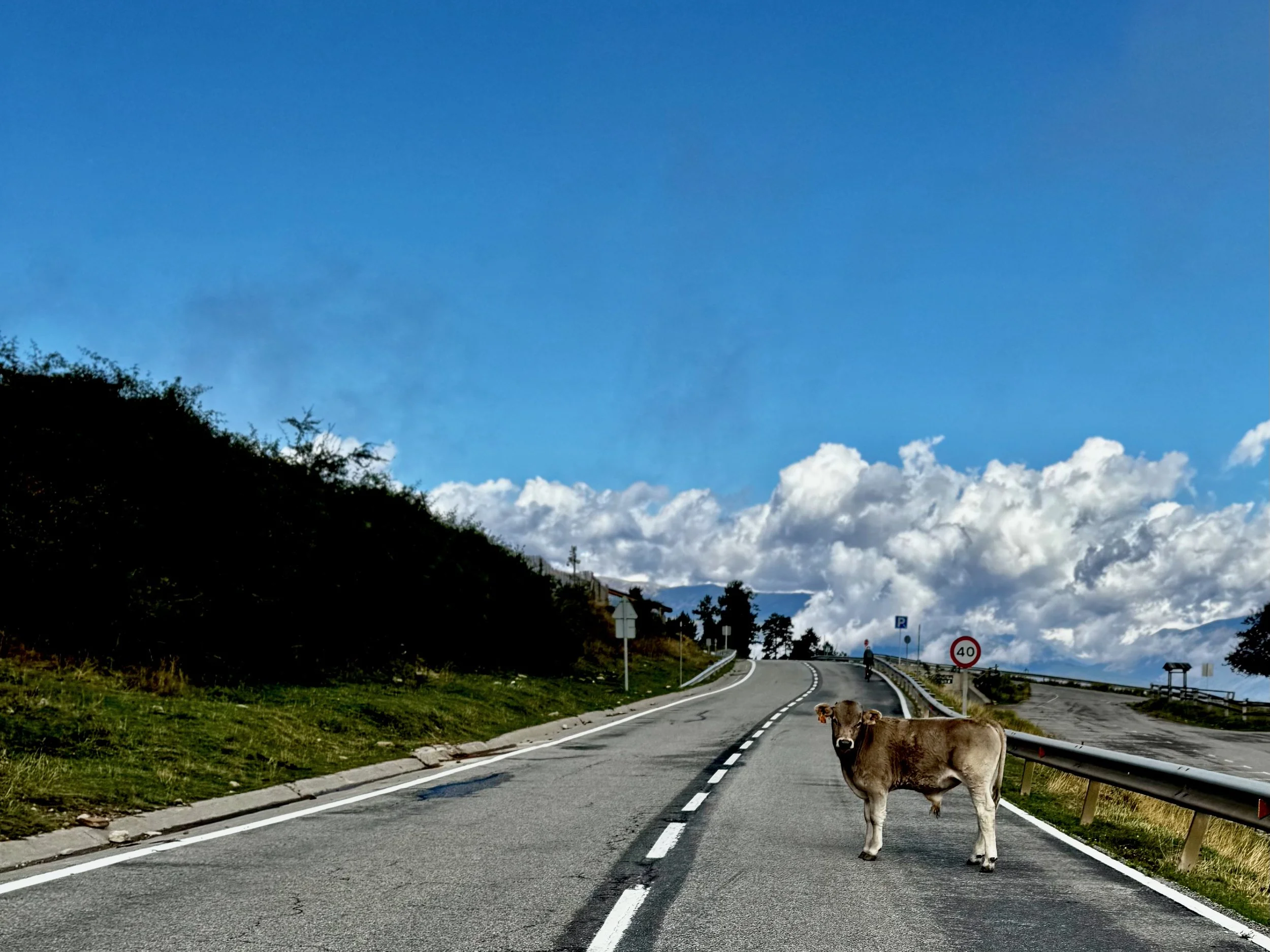 Pro- Palestine Protestors Disrupting La Vuelta