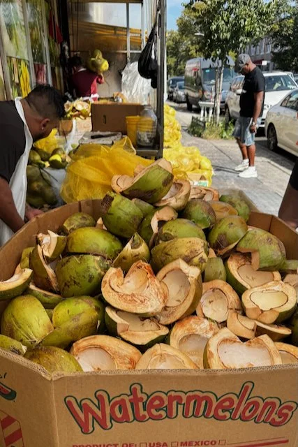 NYC 9-25 - 6 of 12.jpeg