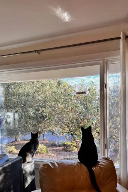 Yellowstone Blogpost - 6 of 25.jpeg