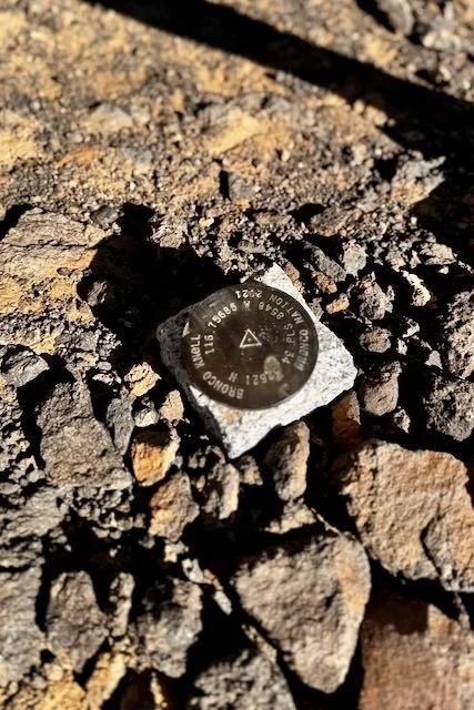 This is my  life now - 5 of 13.jpeg