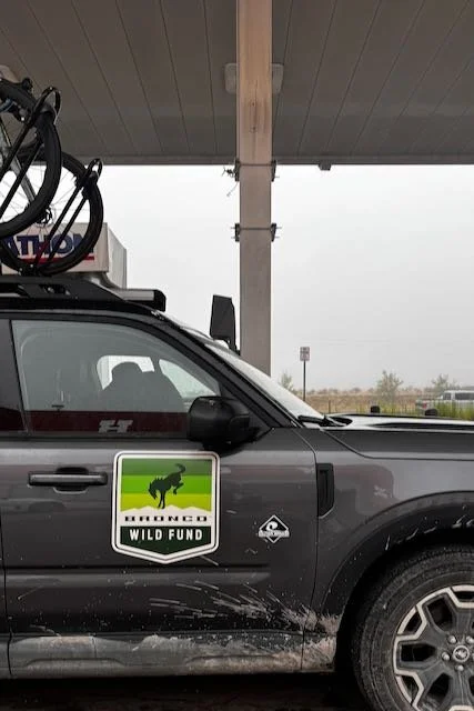 Imports - 2 of 13.jpeg